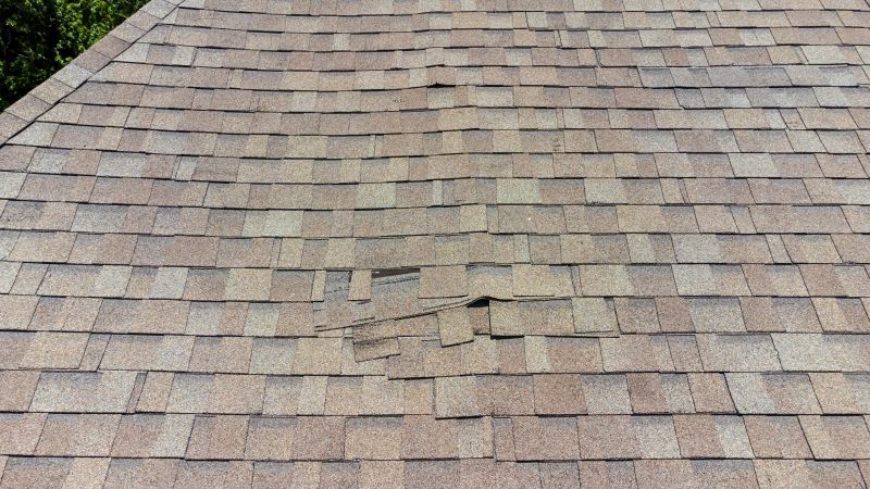 Asphalt Roof Inspection in Chesapeake City, MD
