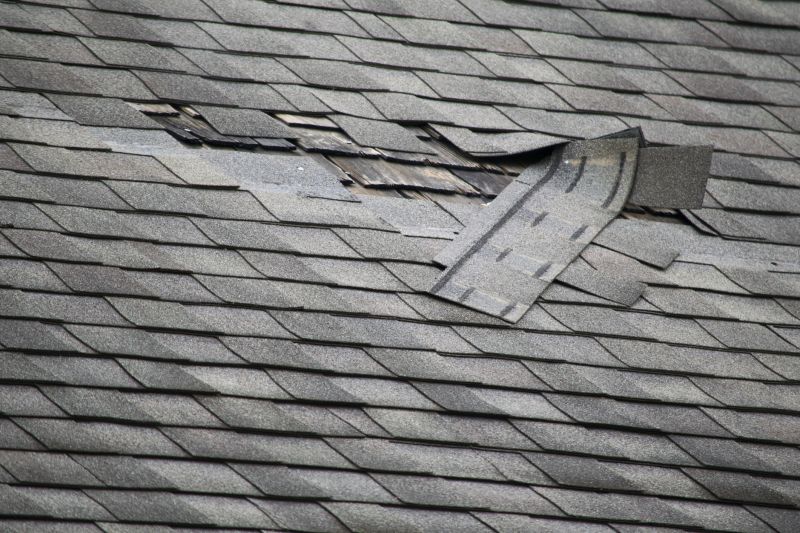 Asphalt Roof Leak Repair in Broomall, PA