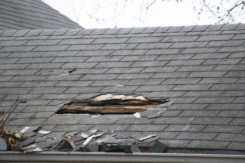 Asphalt Roof Leak Repair in Odessa, DE