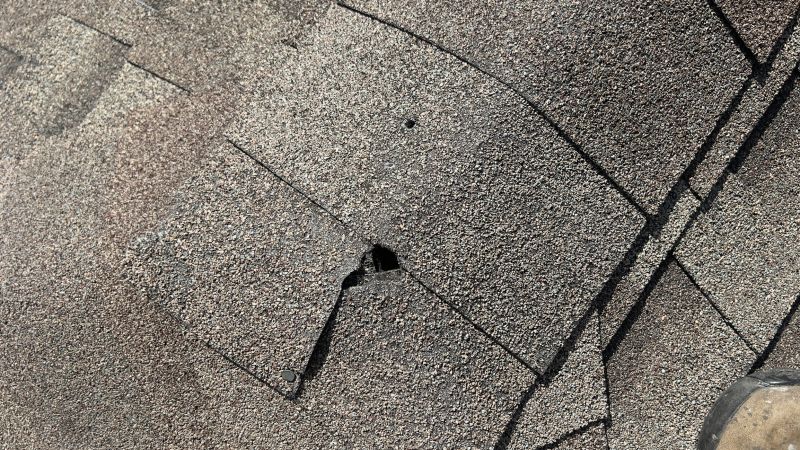 Damaged Roof Repair in Bear, DE