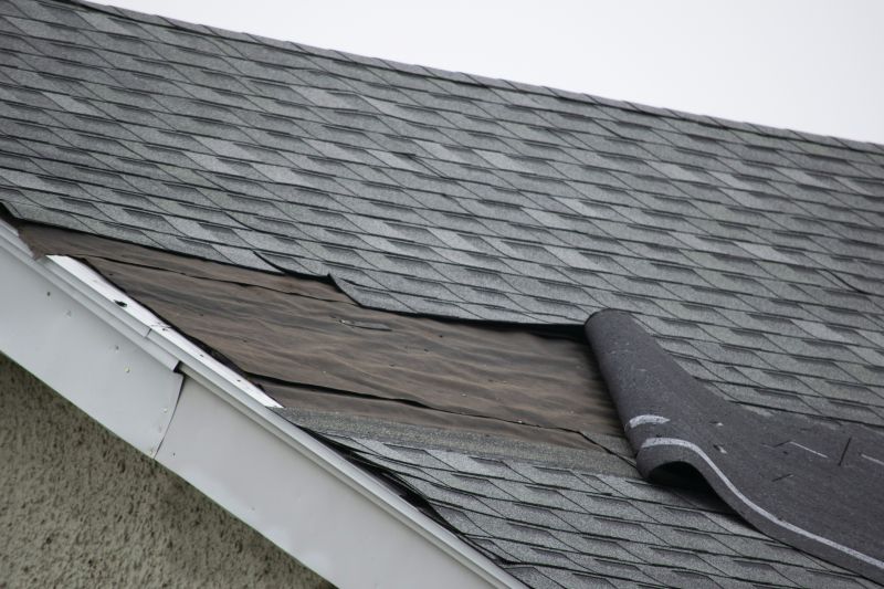 House Roof Repair in Broomall, PA
