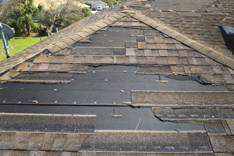 Roof Hail Damage Repair in New Castle, DE