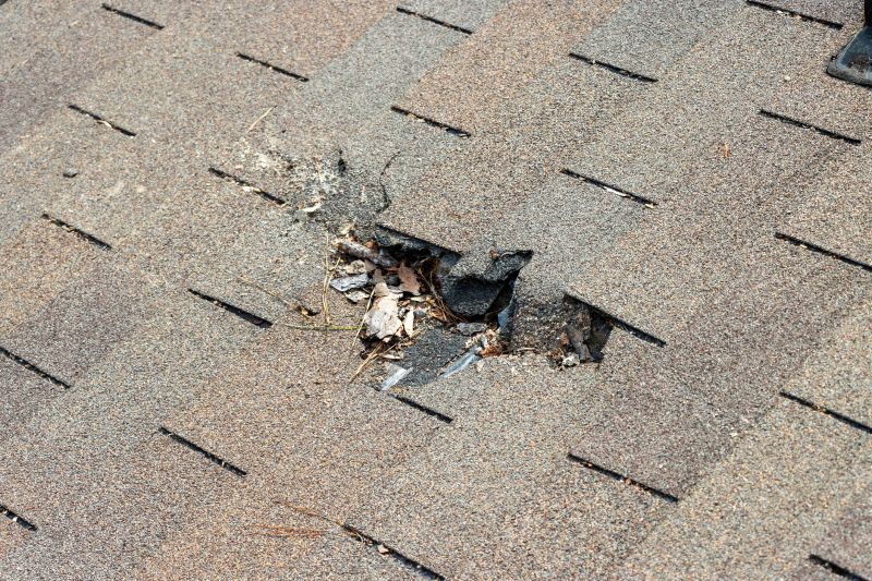 Roof Shingles Replacement in Kennett Square, PA