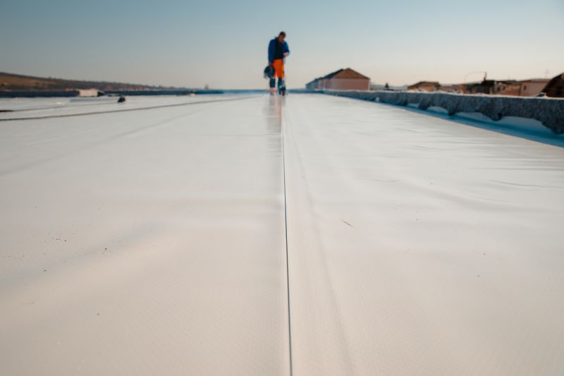 Rubber Roof Repair in Bear, DE