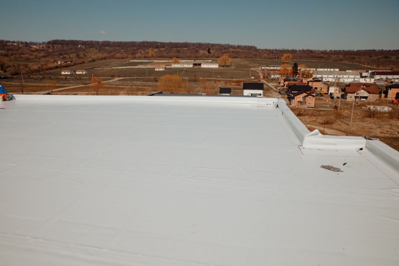 Rubber Roof Repair in Odessa, DE