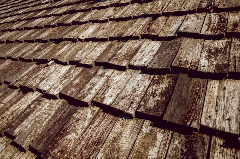 Shake Roof Replacement in Salem County, NJ