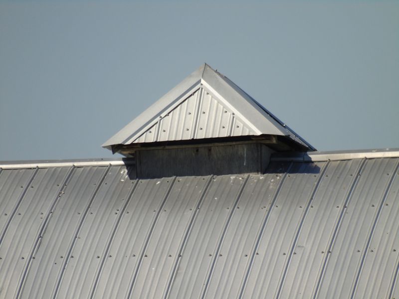 Tin Roof Installation in Claymont, DE
